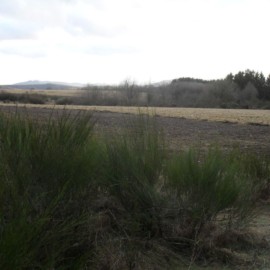 Trainingslager LAG 2017