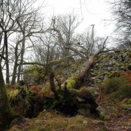 Trainingslager LAG 2017